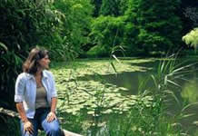 Healthy pond and lake water requires careful, proactive management