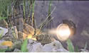 The Lunaqua 10 spotlights can be fitted with 35W, 50W or 75W Bulbs.