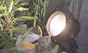 Powerful Lunaqua 10 spotlights can be submersed up to 4m deep.