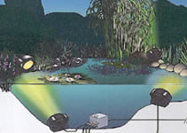 Oase Lunaqua 10 Halogen Lighting Systems are ideally suited to pond, fountain or lake water illumination.